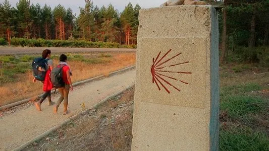 Camino francés en el camino de Santiago